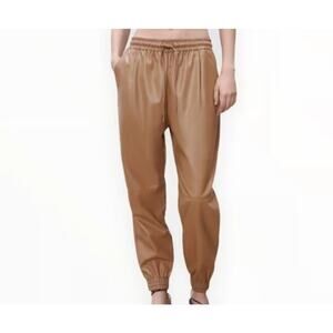 Women’s Zara Shiny Casual Or Dressy Elastic Waist Pants With Pockets Size XS